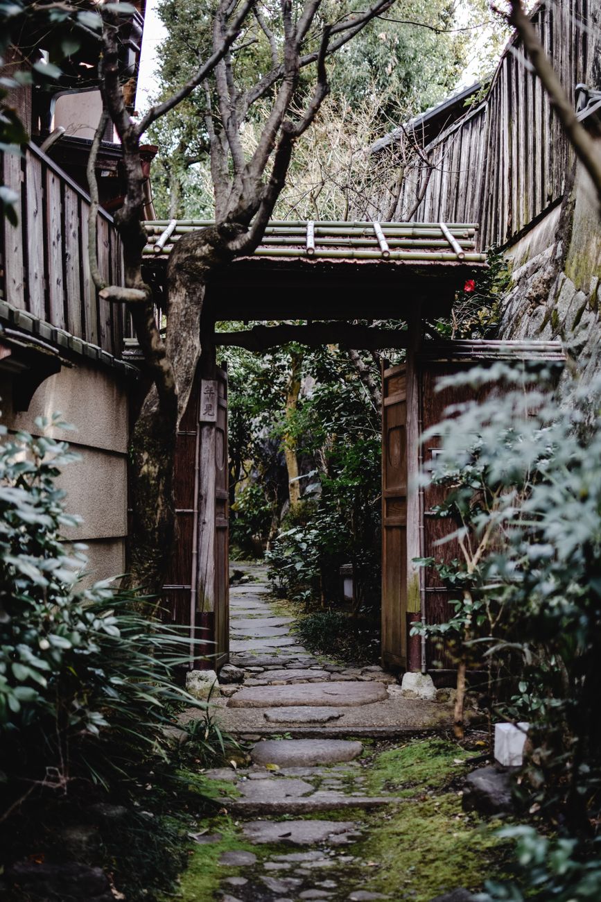 Japanese temple garden with ancient cedar and moss